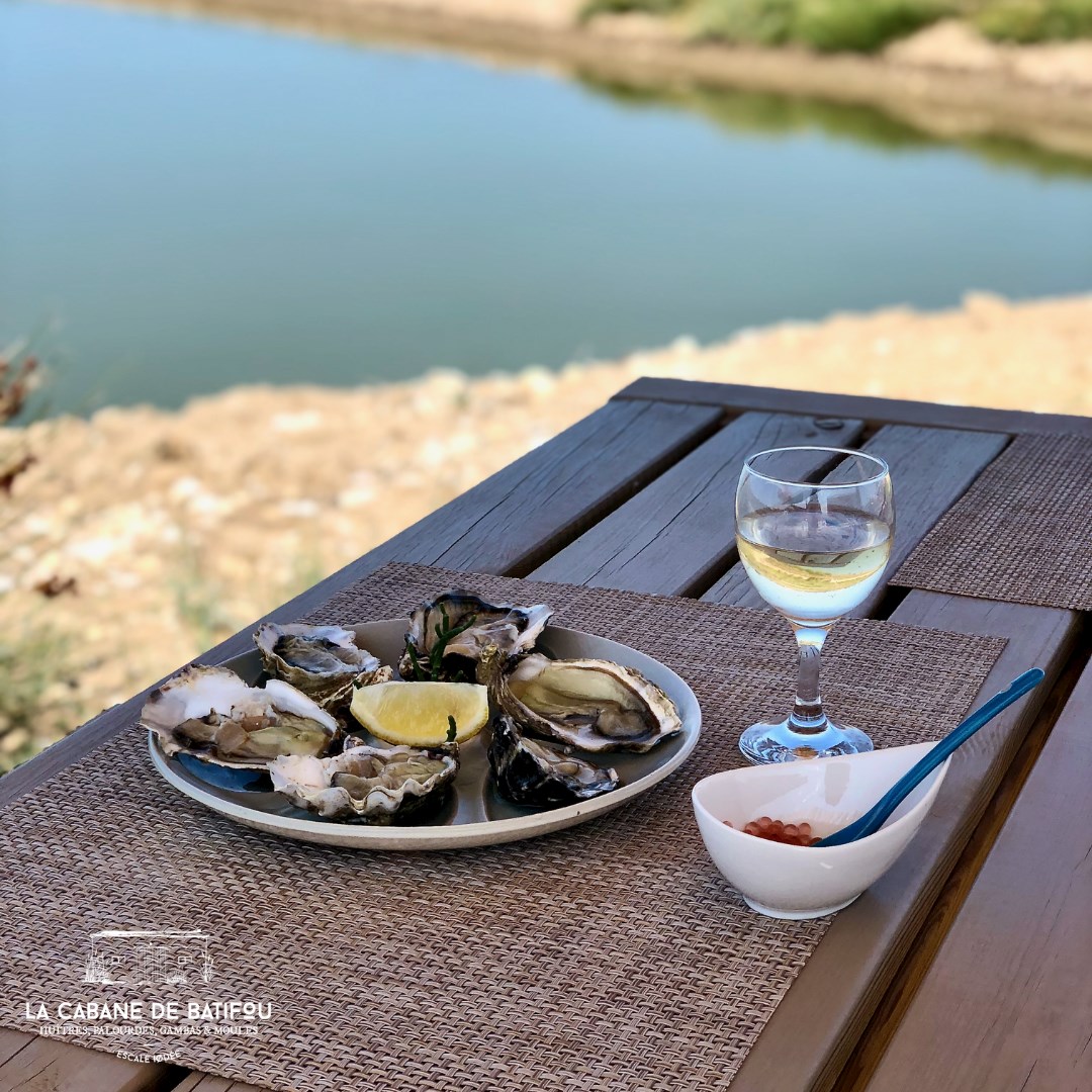 Dégustation d'huîtres, moules, crevettes, palourdes et plus encore dans un cadre hors du commun